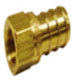 Female Non Swivel Adapter X Pex